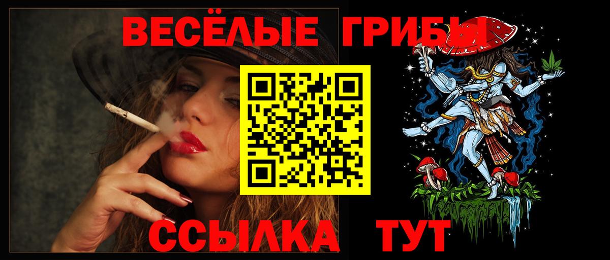 Галлюциногенные грибы MAGIC MUSHROOMS  Вход с VPN  Алатырь 